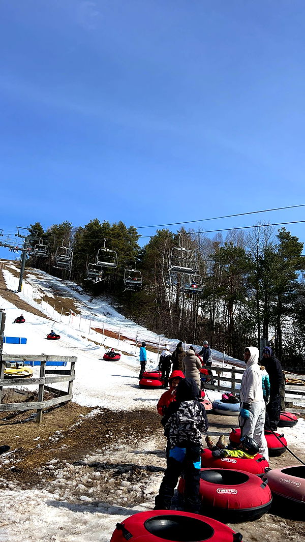 carmmieecat image ~ Altpins