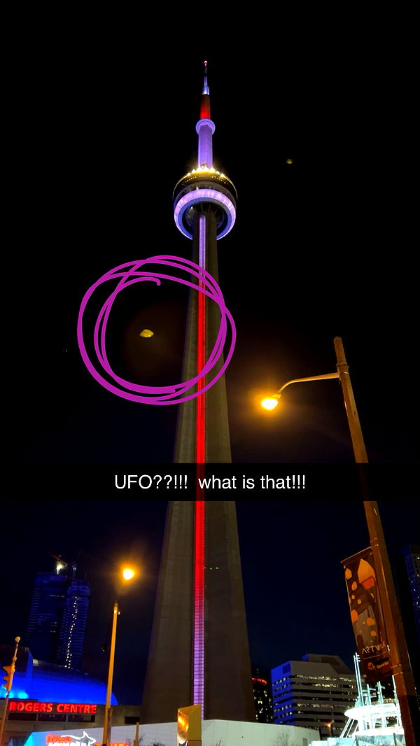 carmmieecat image ~ Altpins