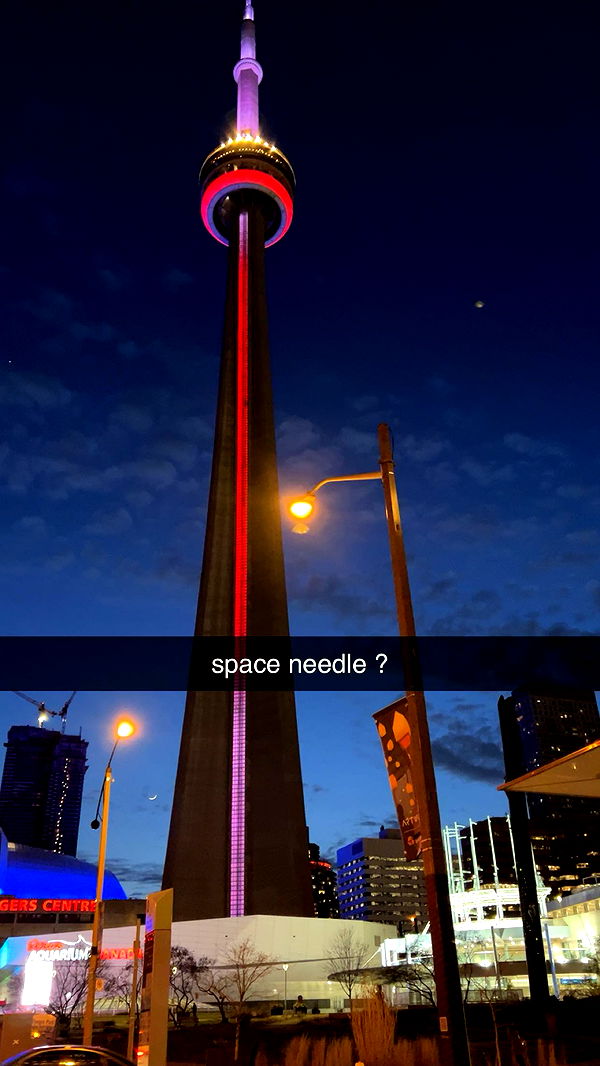 carmmieecat image ~ Altpins