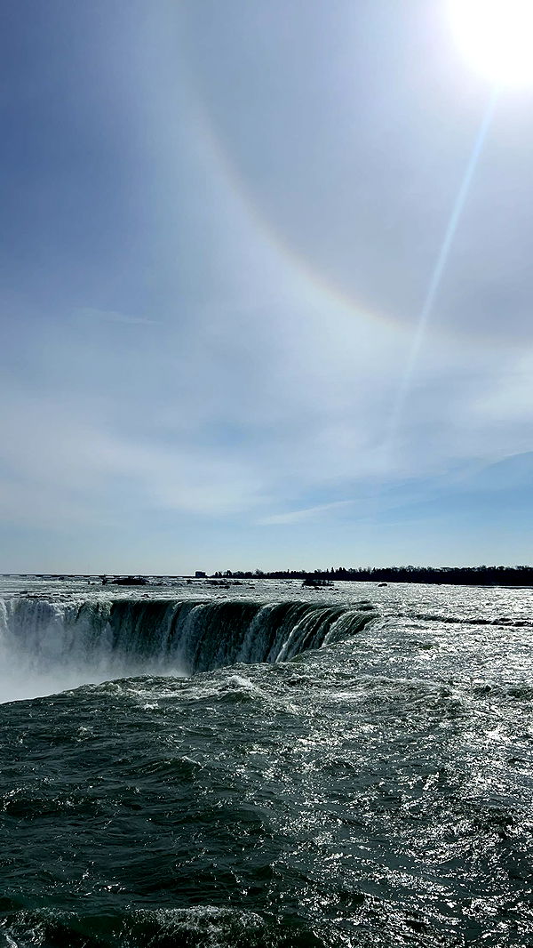 carmmieecat image ~ Altpins