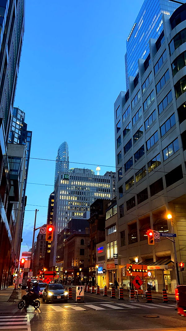 carmmieecat image ~ Altpins