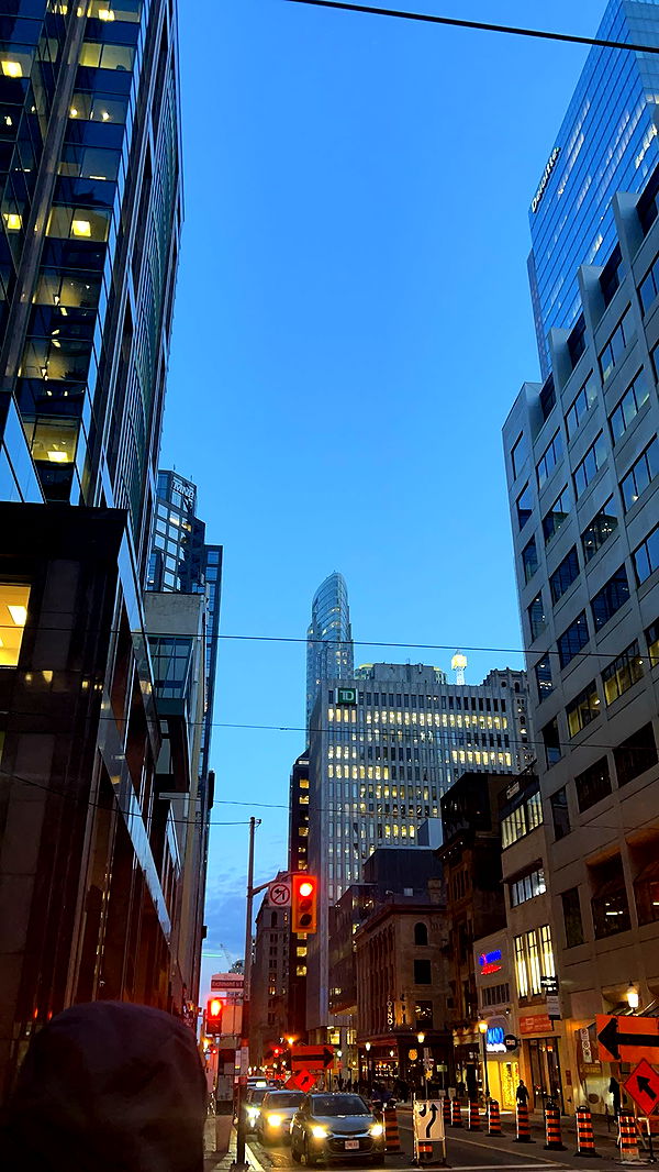 carmmieecat image ~ Altpins