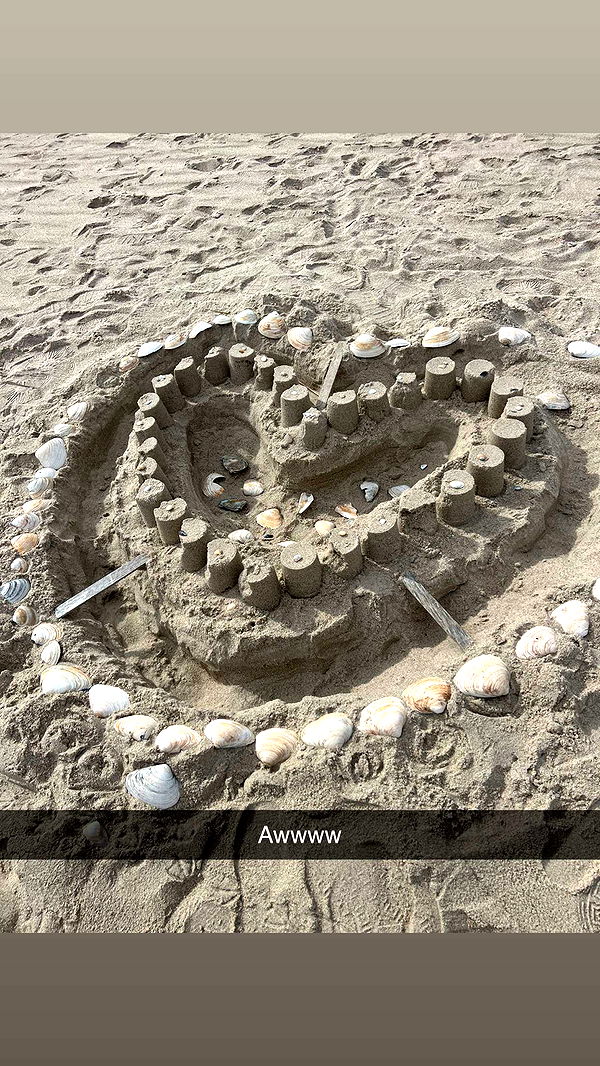 carmmieecat image ~ Altpins