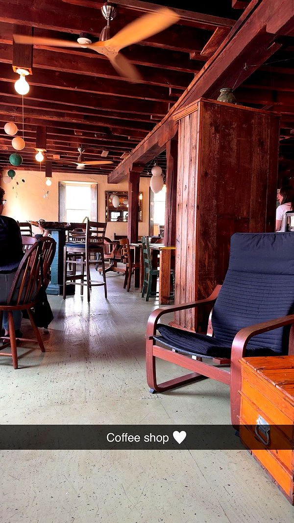 carmmieecat image ~ Altpins