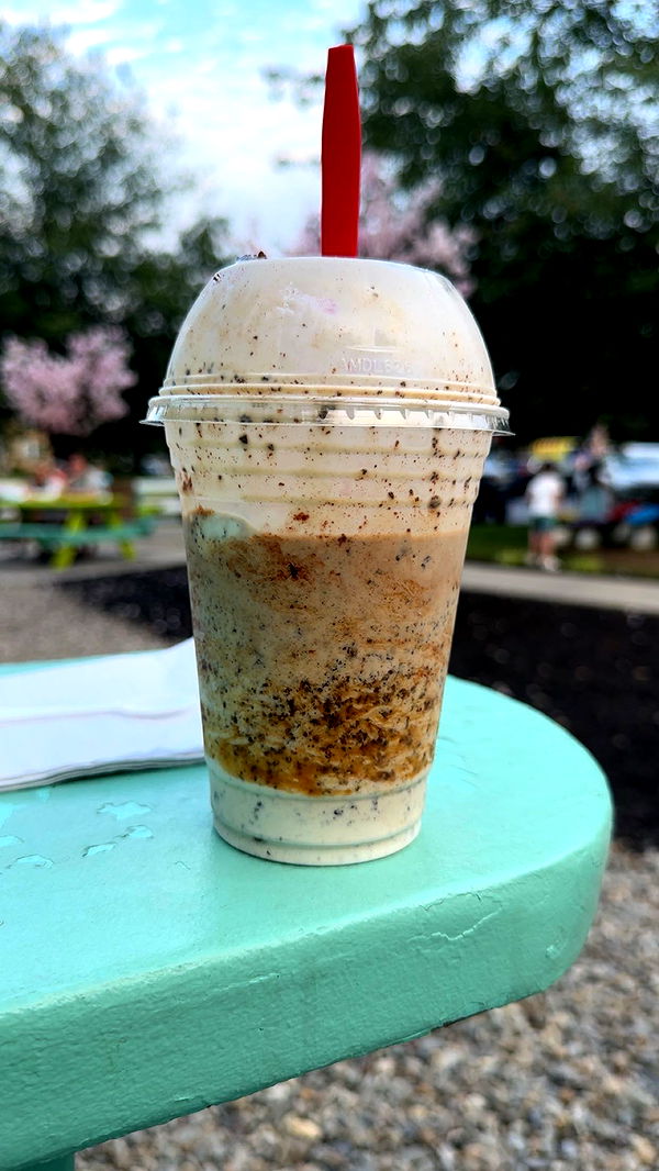 carmmieecat image ~ Altpins