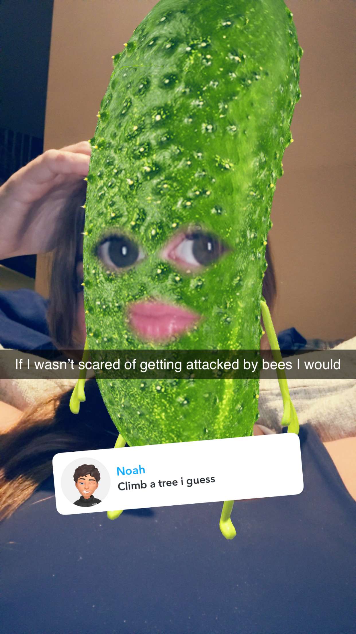 carmmieecat snapchat image archive image