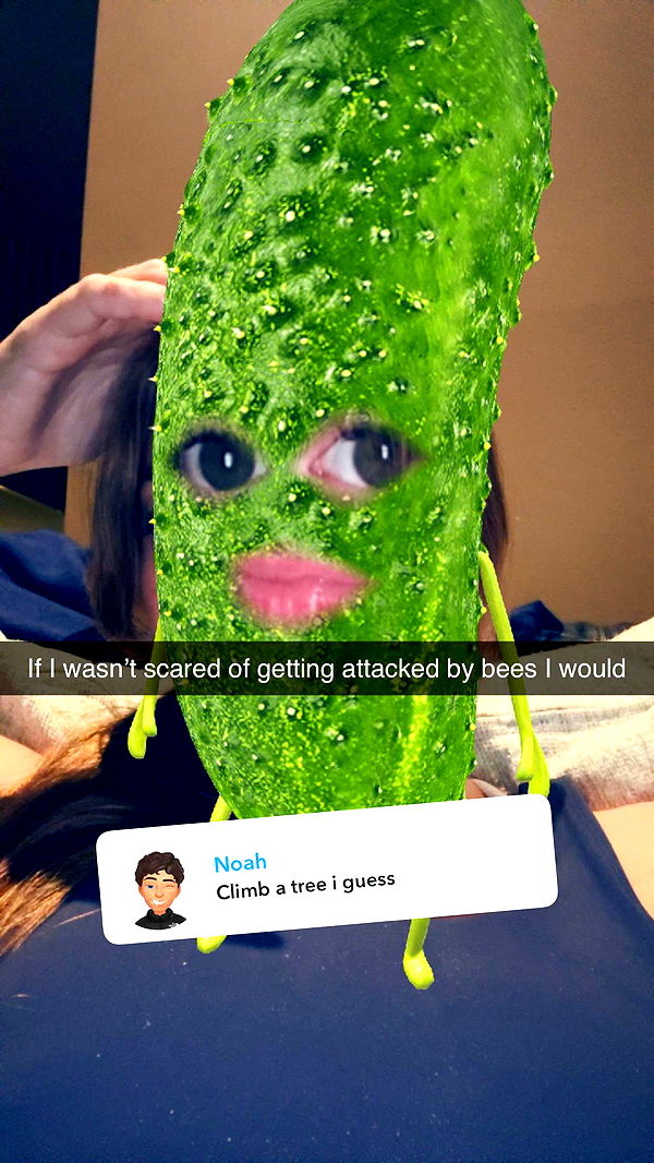 carmmieecat image ~ Altpins