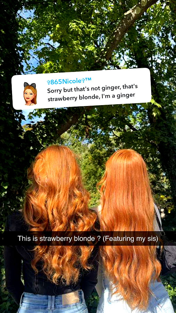 carmmieecat image ~ Altpins