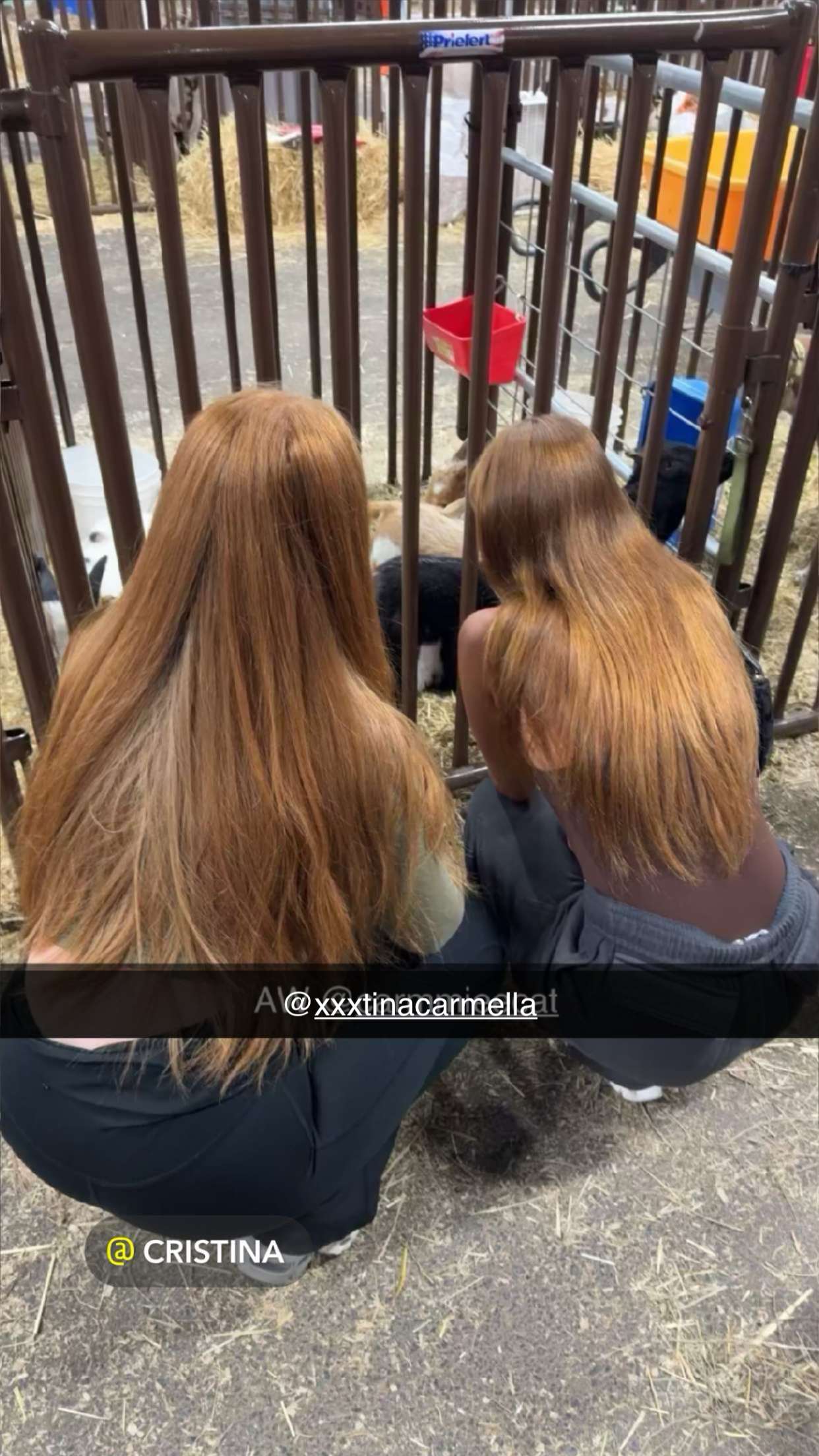 carmmieecat snapchat image archive image