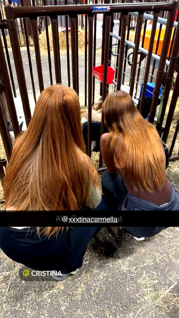 carmmieecat image ~ Altpins