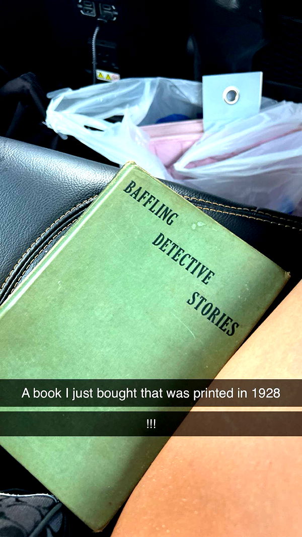 carmmieecat image ~ Altpins