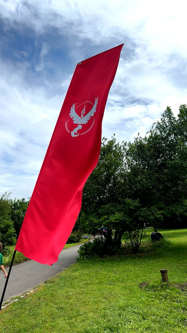 carmmieecat image ~ Altpins