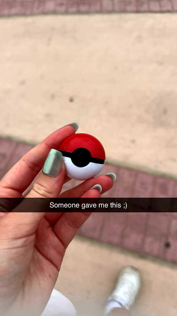 carmmieecat image ~ Altpins