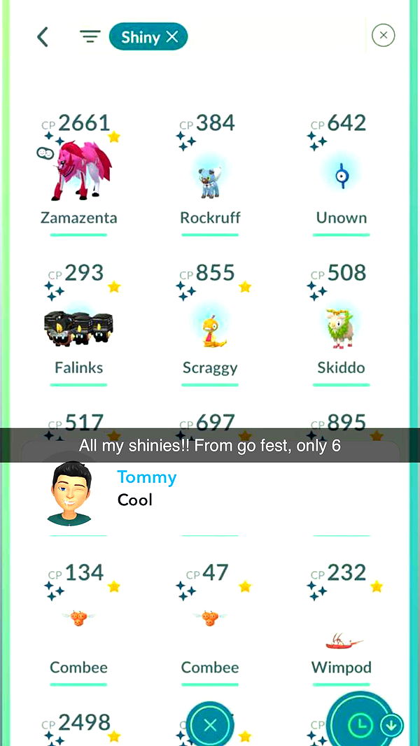 carmmieecat image ~ Altpins