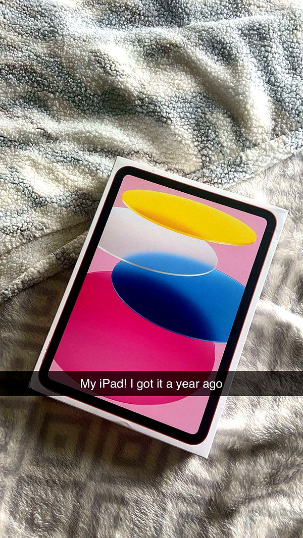 carmmieecat image ~ Altpins