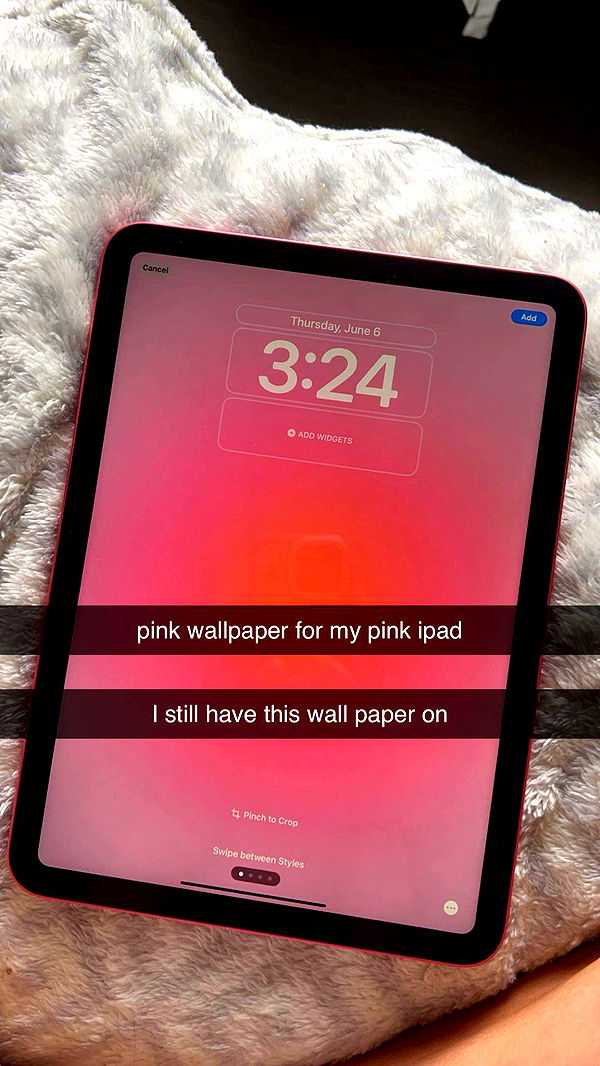 carmmieecat image ~ Altpins