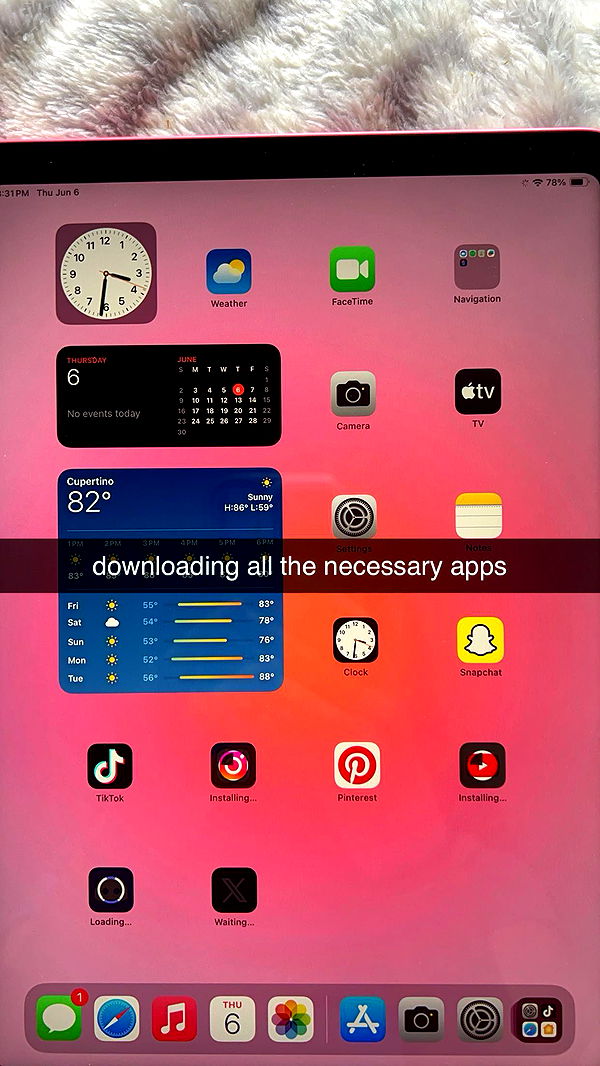 carmmieecat image ~ Altpins