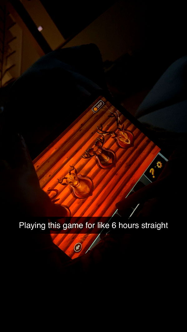 carmmieecat image ~ Altpins