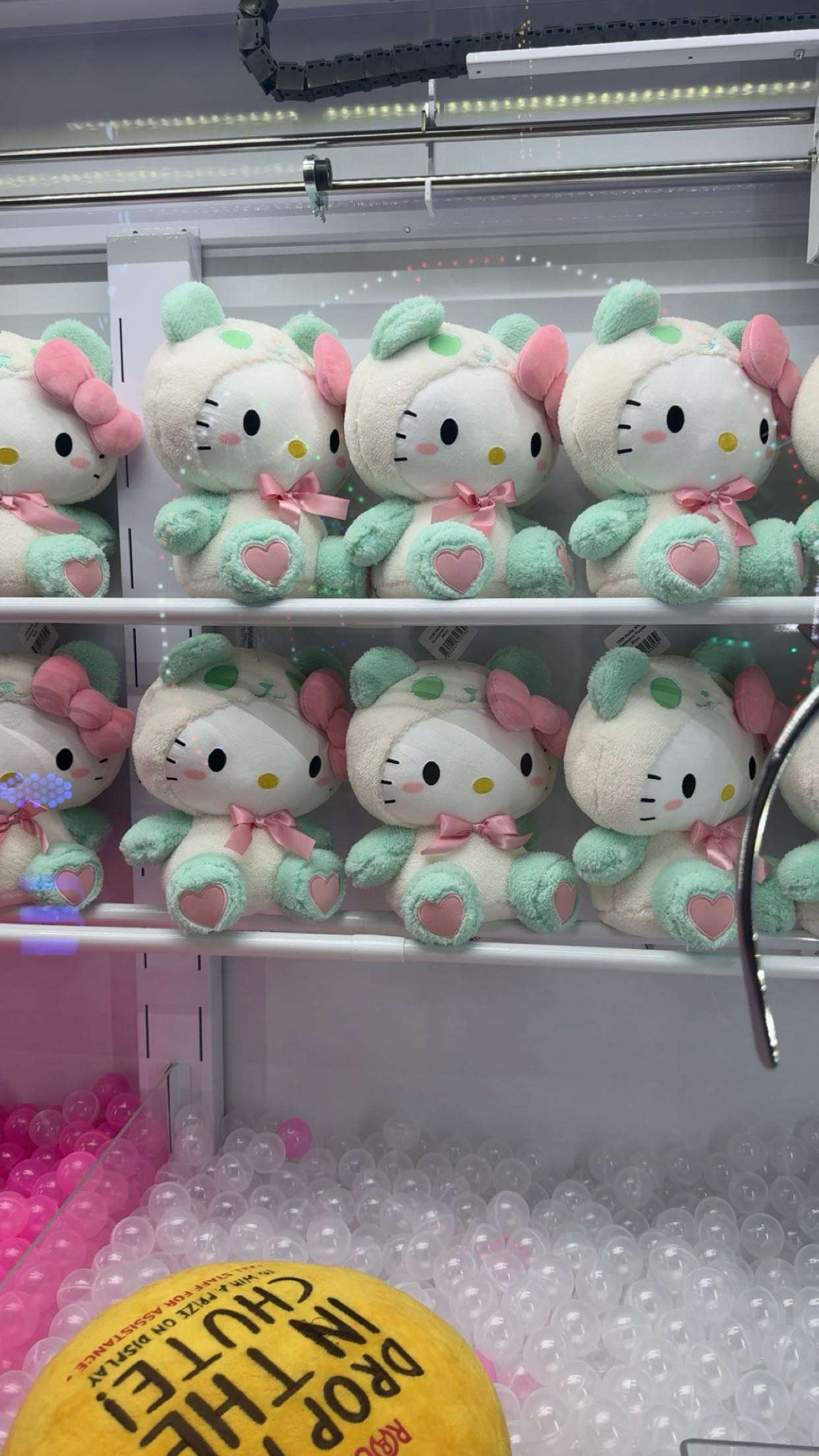 carmmieecat snapchat image archive image