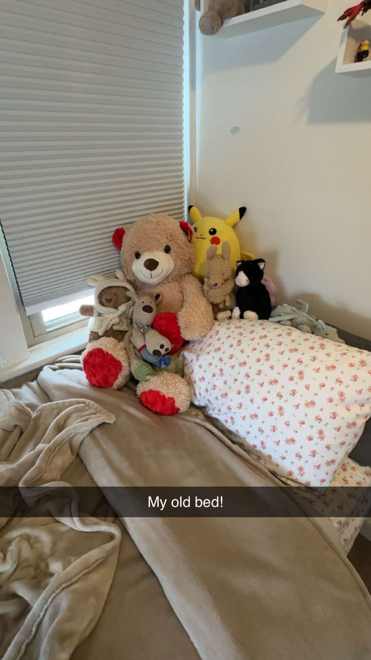 carmmieecat snapchat image archive image