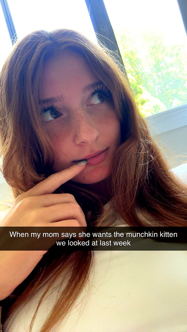 carmmieecat image ~ Altpins