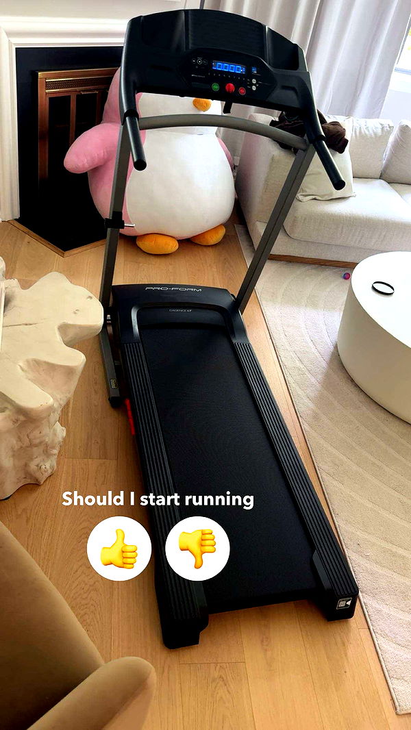 carmmieecat image ~ Altpins