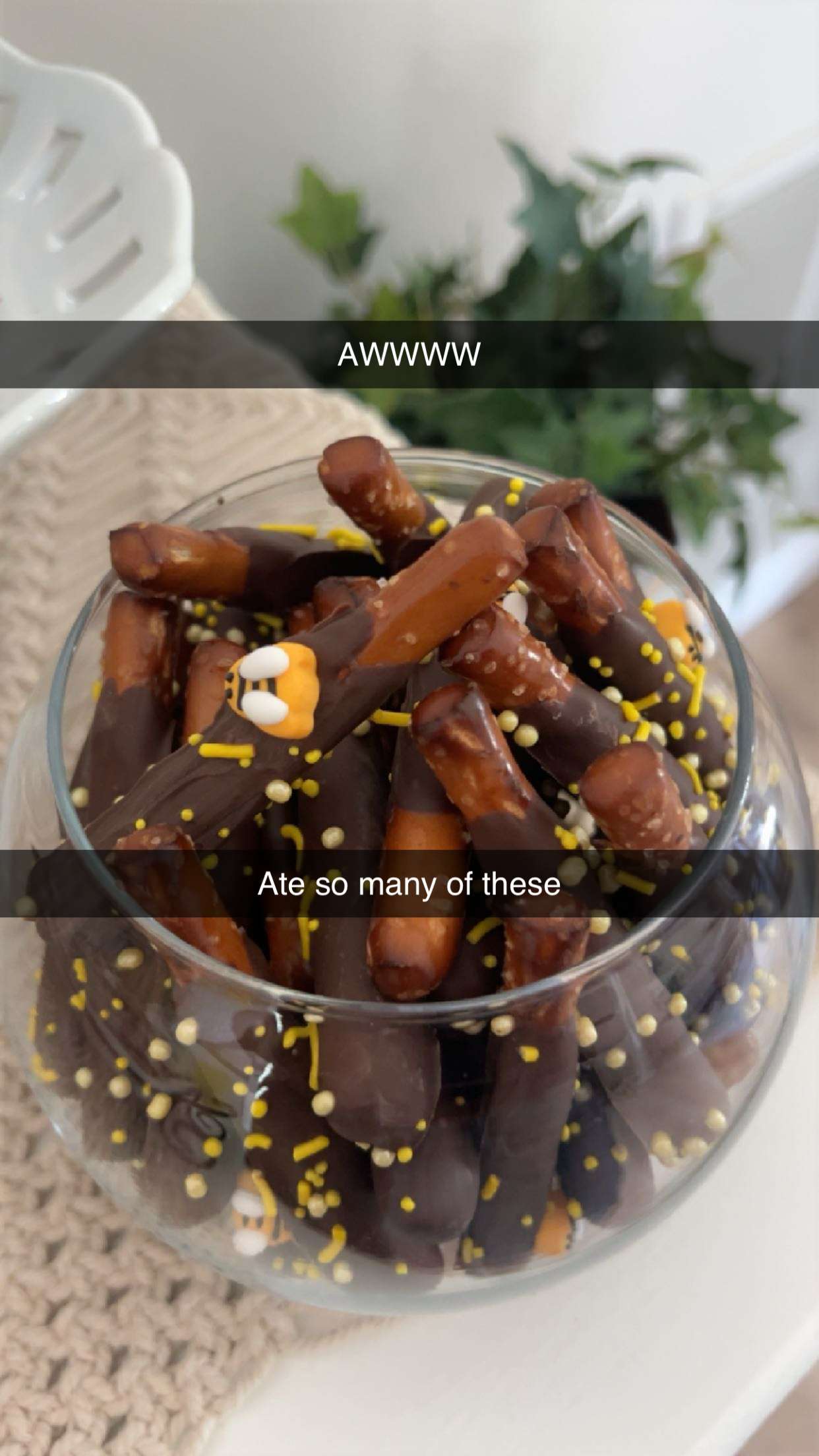 carmmieecat snapchat image archive image