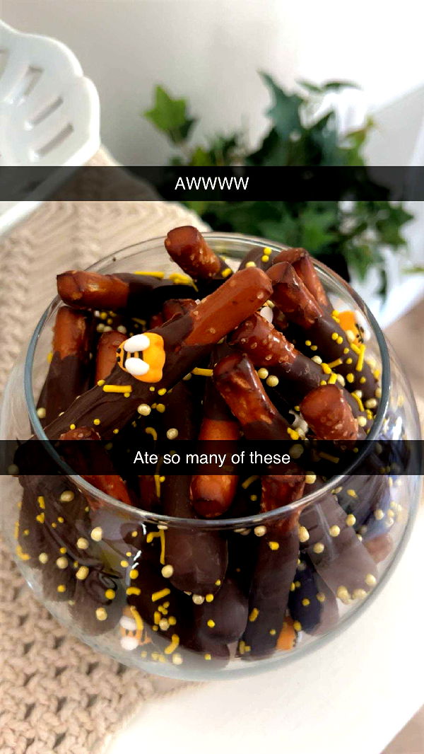 carmmieecat image ~ Altpins