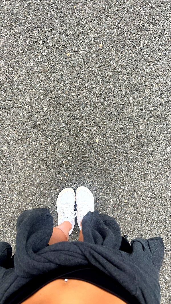 carmmieecat image ~ Altpins