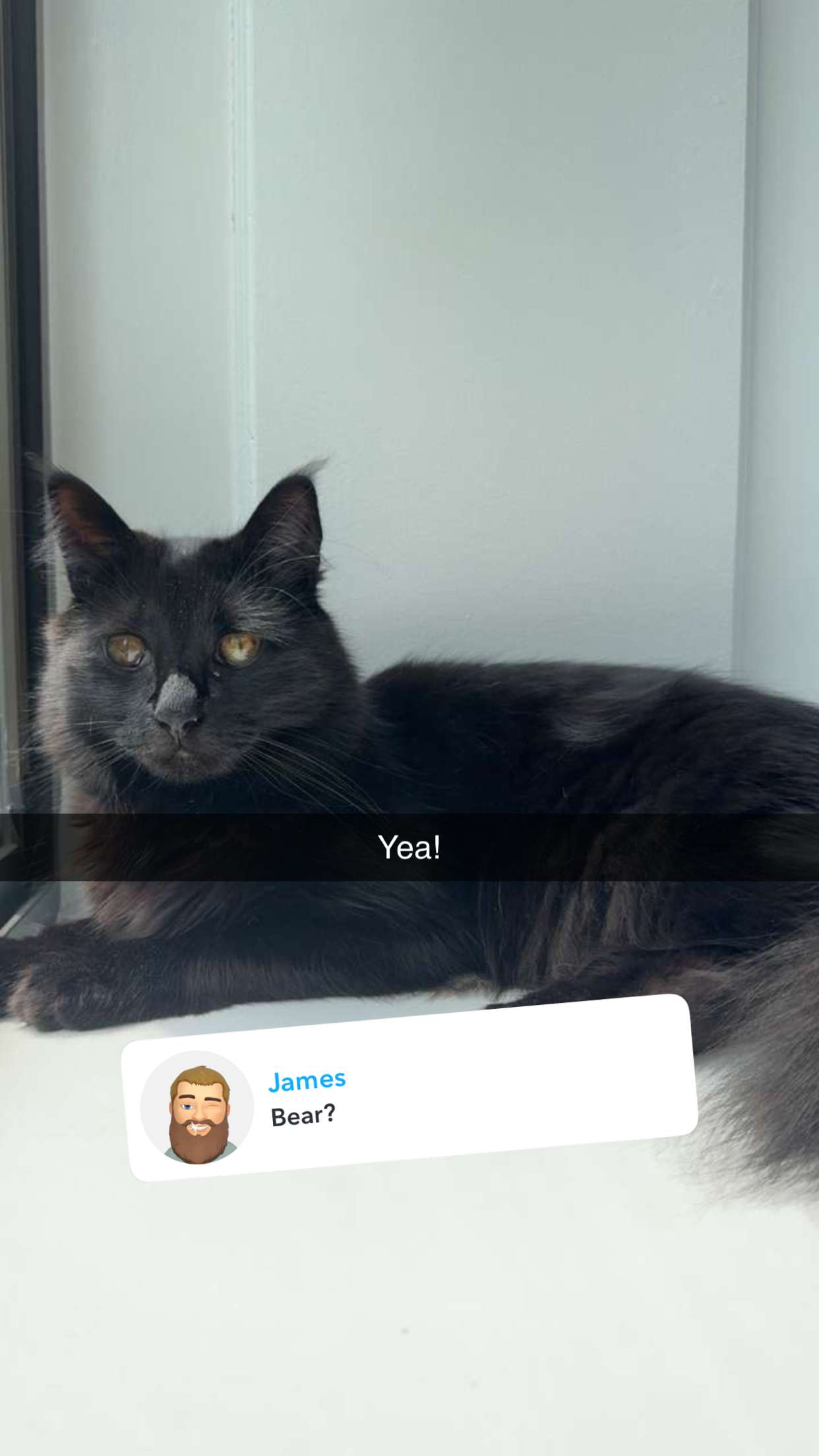 carmmieecat snapchat image archive image