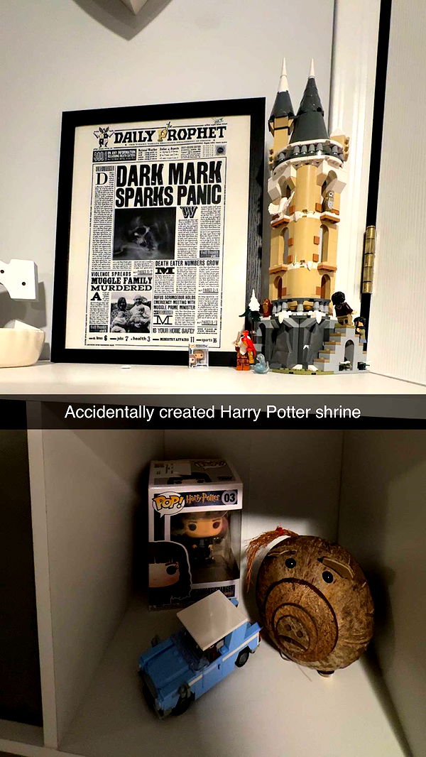 carmmieecat image ~ Altpins