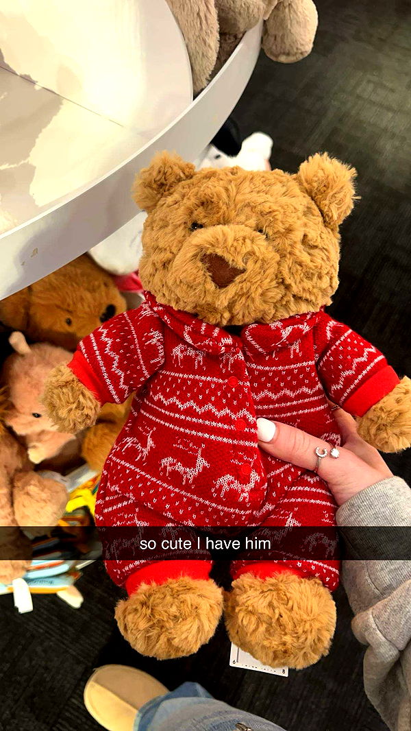 carmmieecat image ~ Altpins