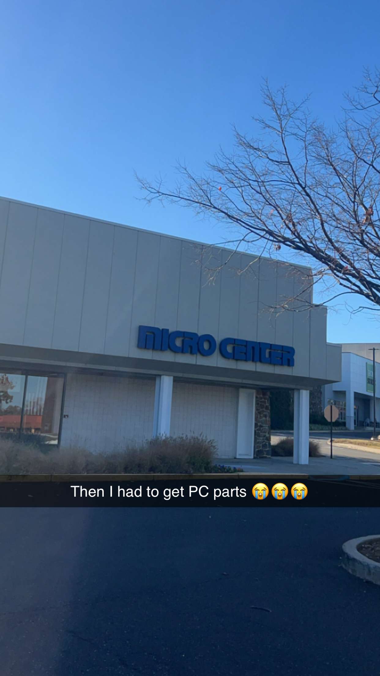 carmmieecat snapchat image archive image