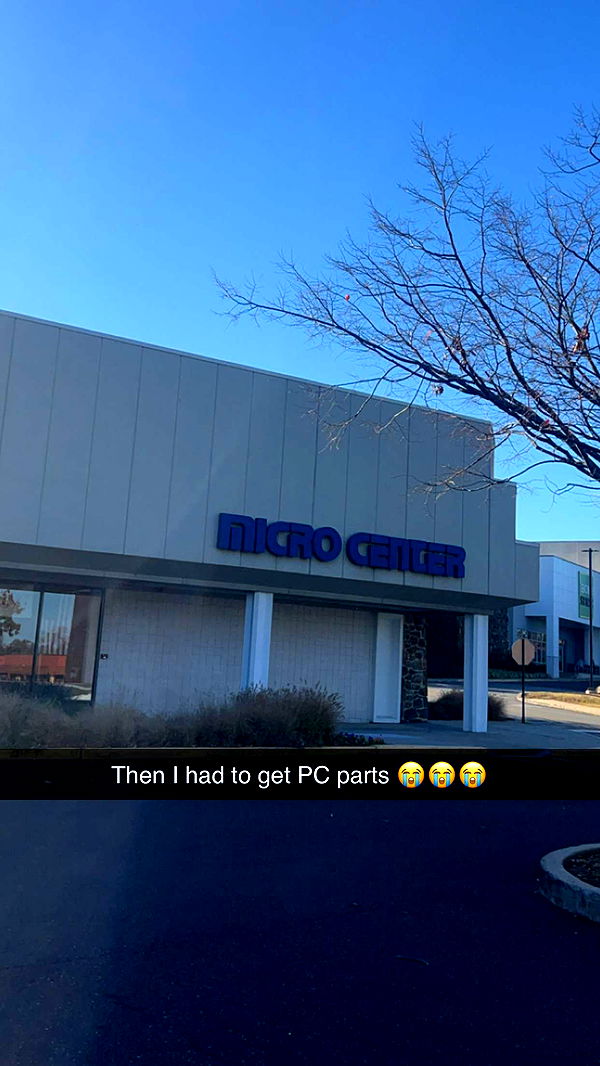 carmmieecat image ~ Altpins