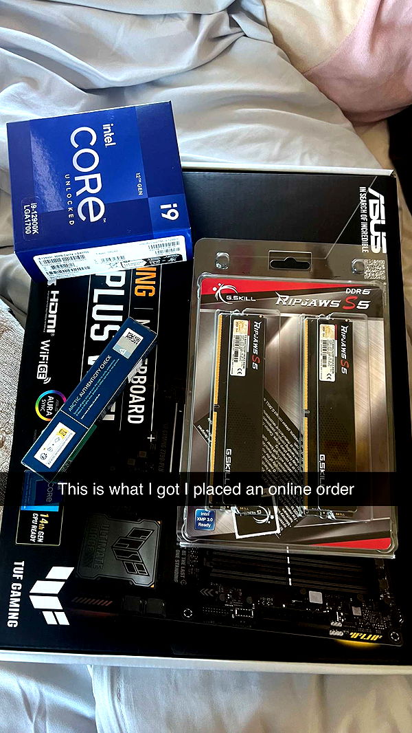 carmmieecat image ~ Altpins