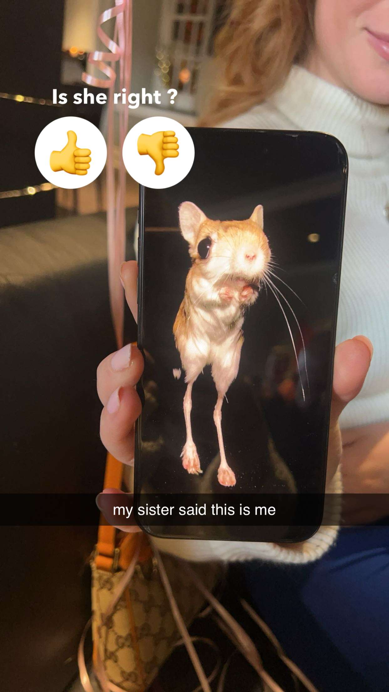 carmmieecat snapchat image archive image