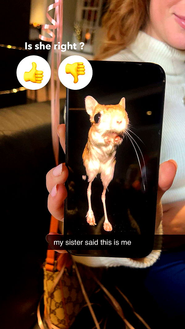 carmmieecat image ~ Altpins