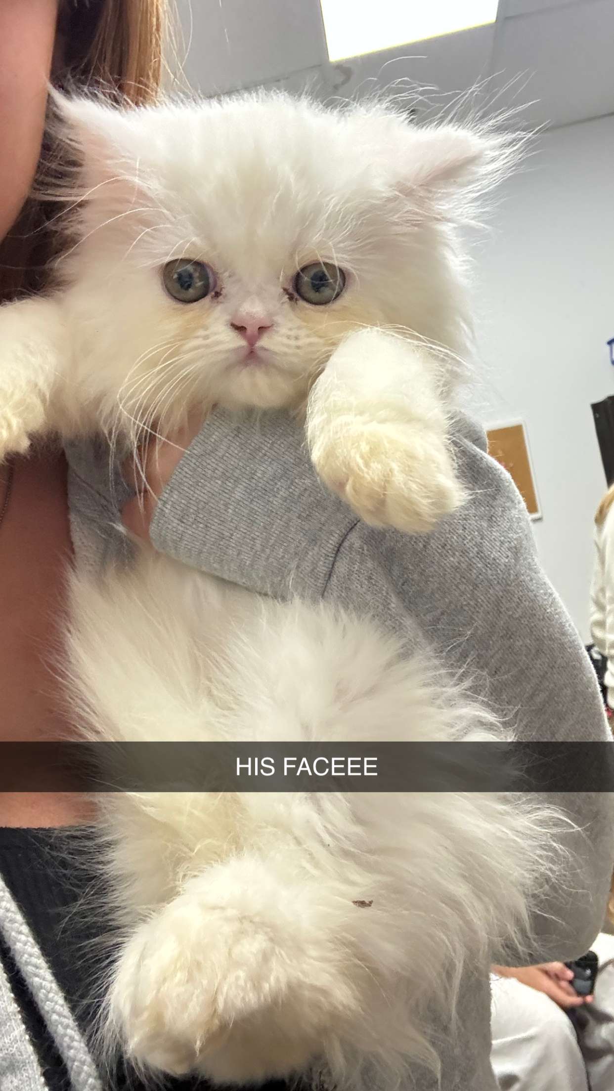 carmmieecat snapchat image archive image