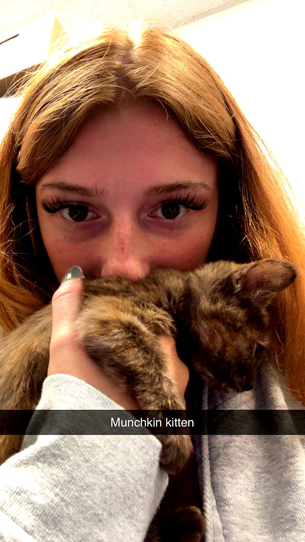 carmmieecat image ~ Altpins