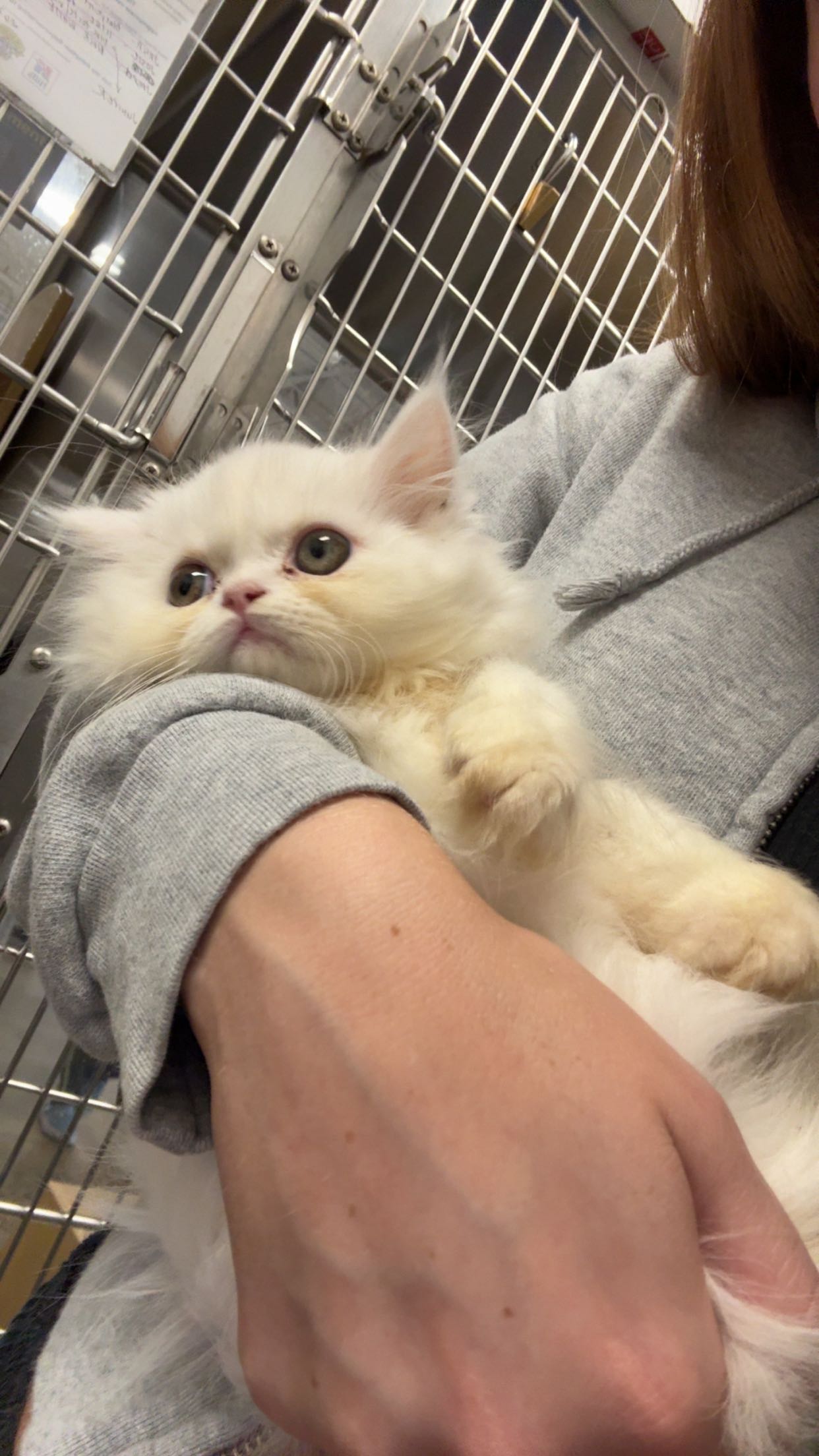 carmmieecat snapchat image archive image