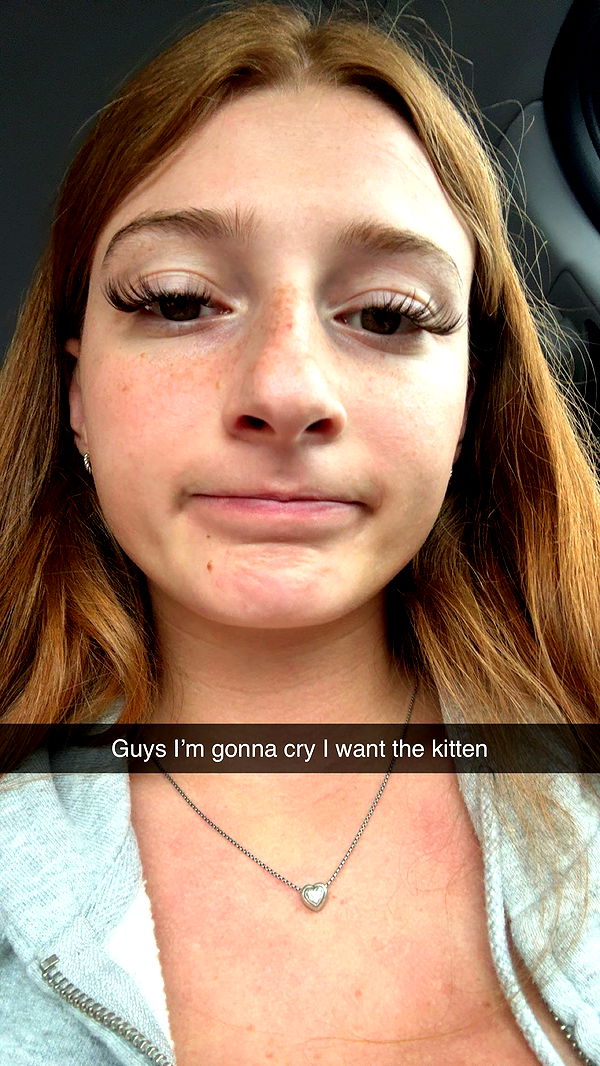 carmmieecat image ~ Altpins