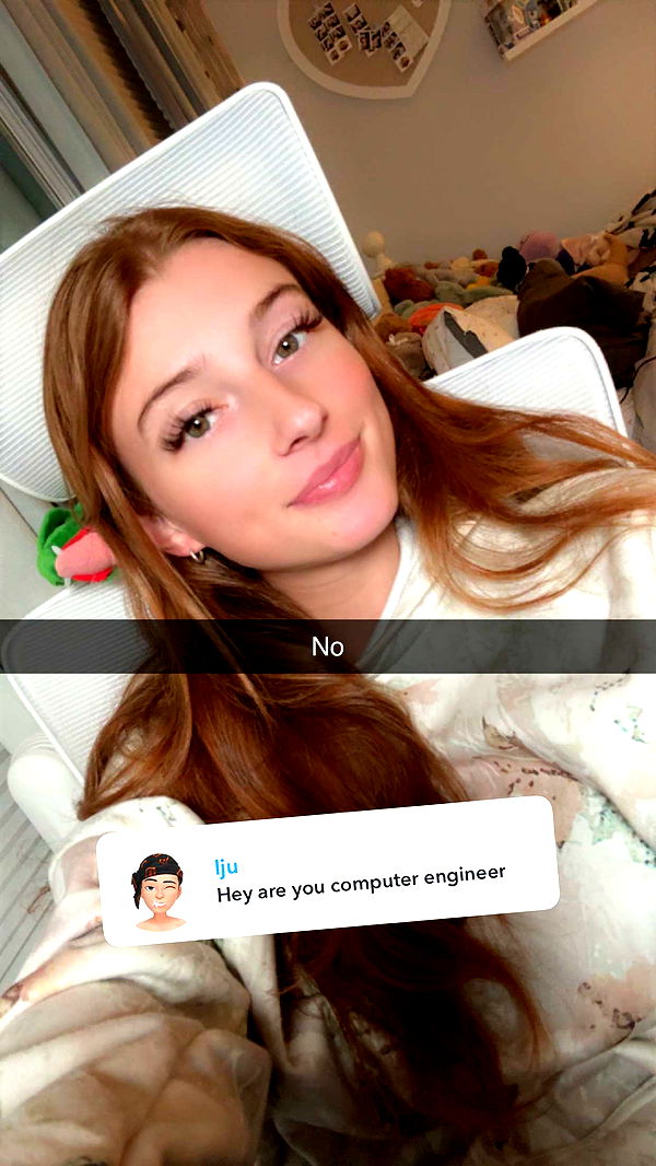 carmmieecat image ~ Altpins