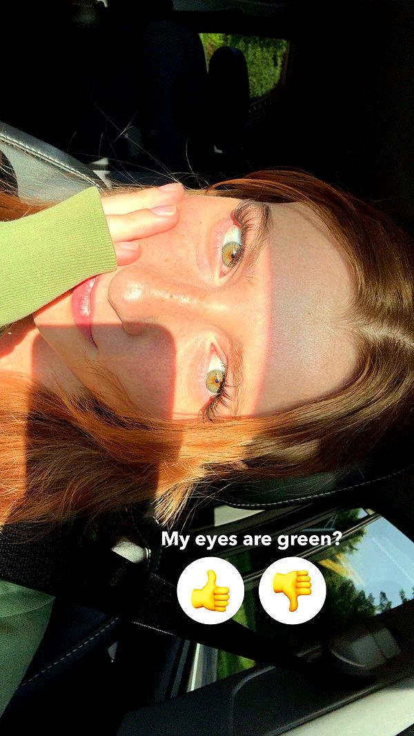 carmmieecat image ~ Altpins