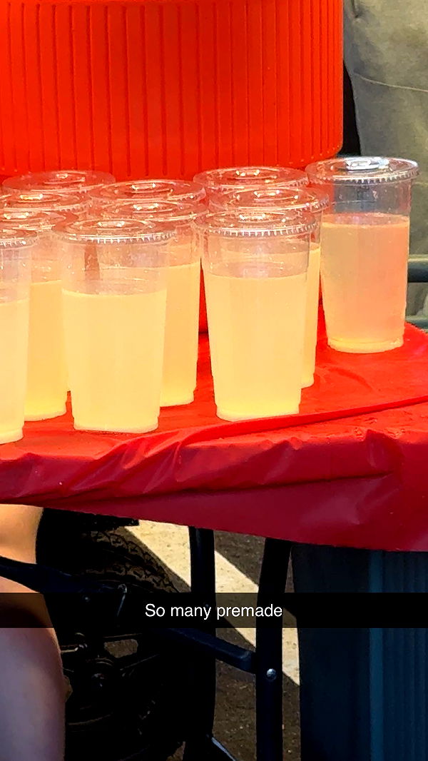 carmmieecat image ~ Altpins