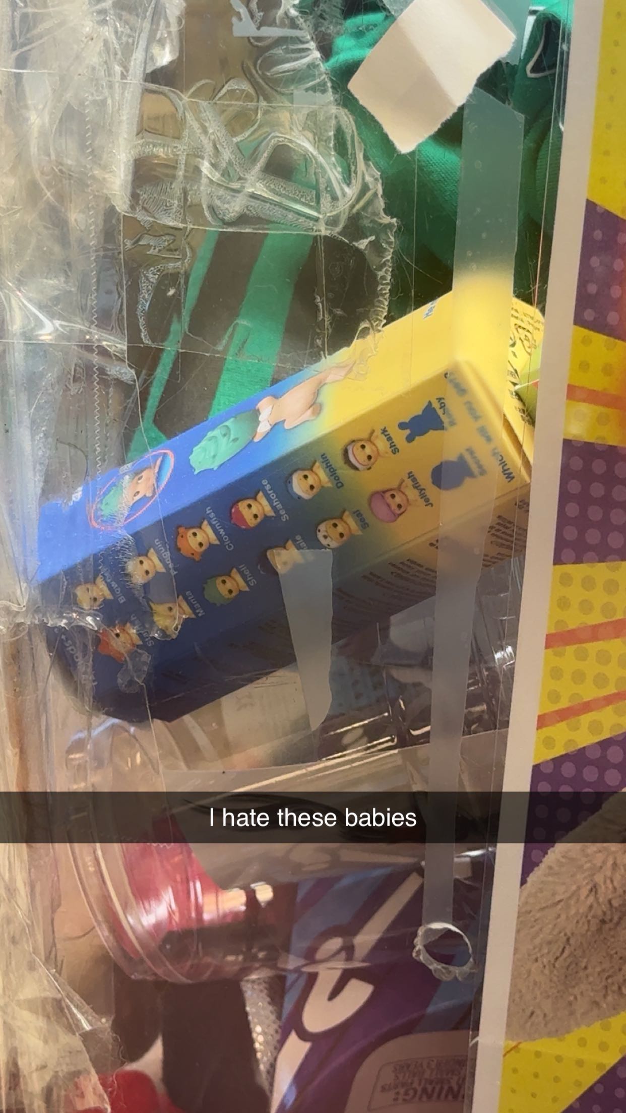 carmmieecat snapchat image archive image