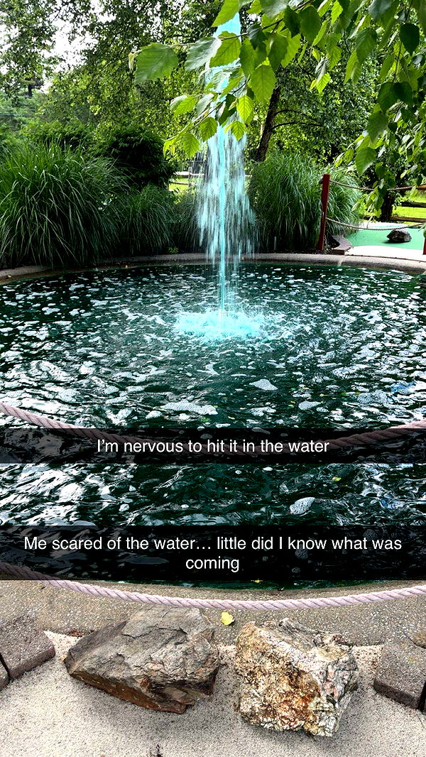 carmmieecat image ~ Altpins