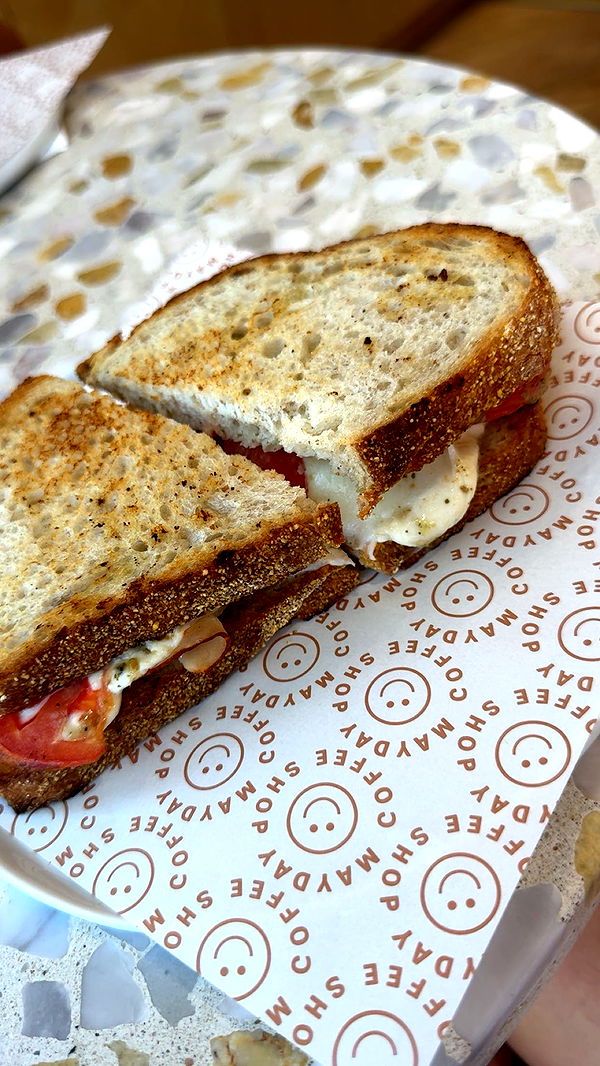 carmmieecat image ~ Altpins