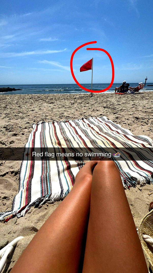 carmmieecat image ~ Altpins