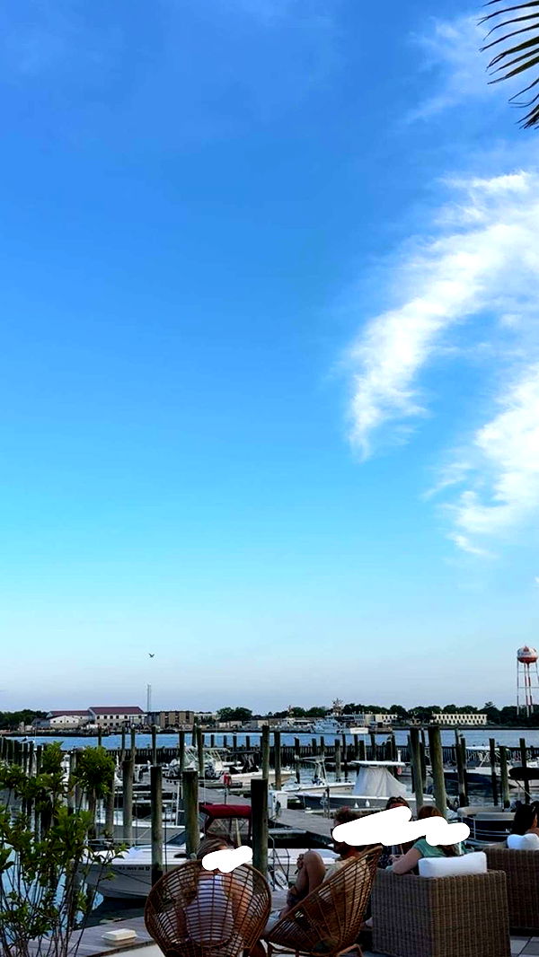 carmmieecat image ~ Altpins