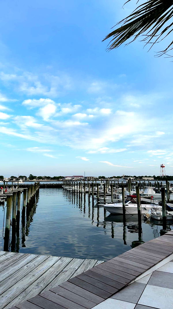 carmmieecat image ~ Altpins